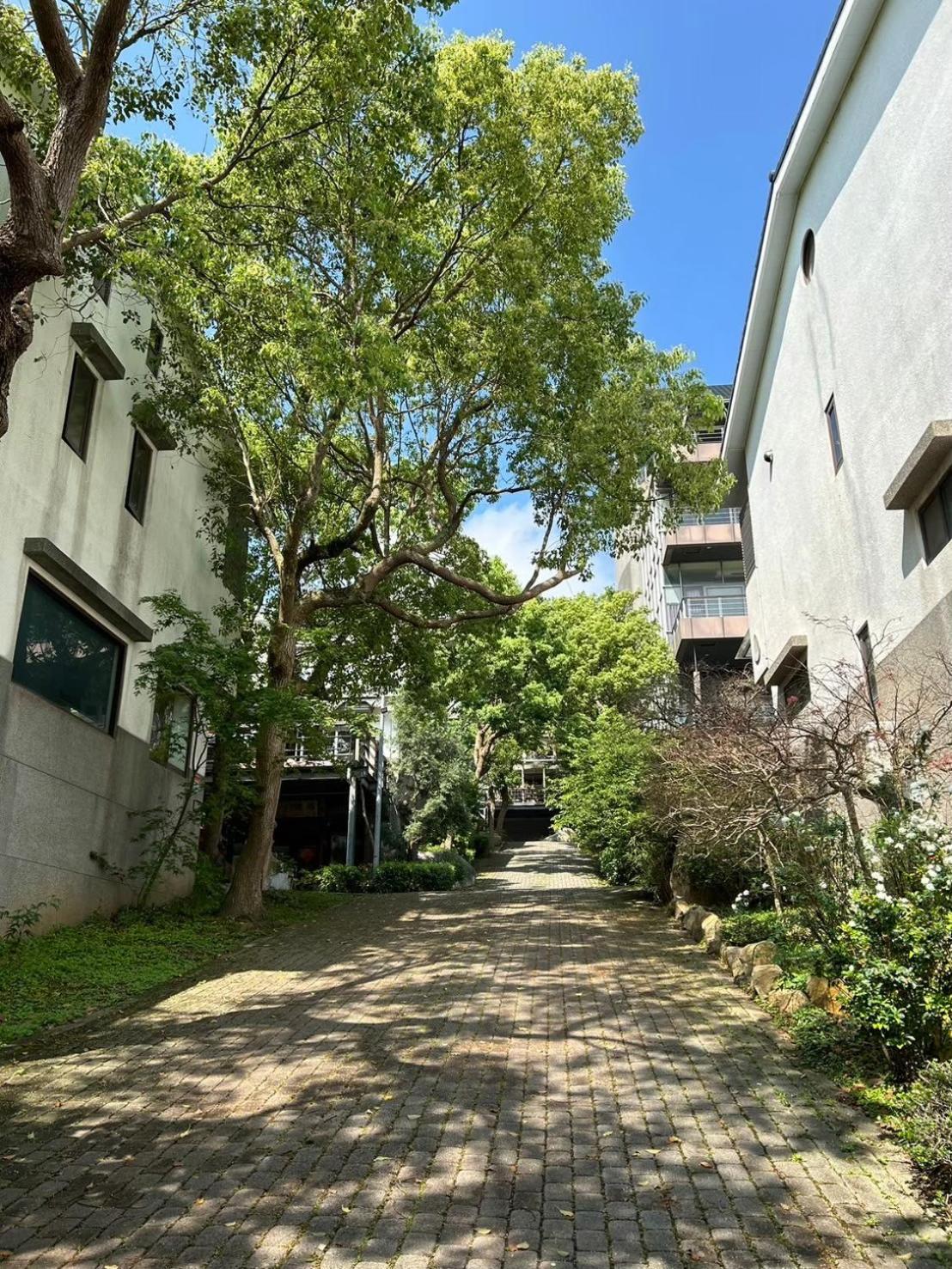 Miaoli Sanyi Travelling Homestay 외부 사진