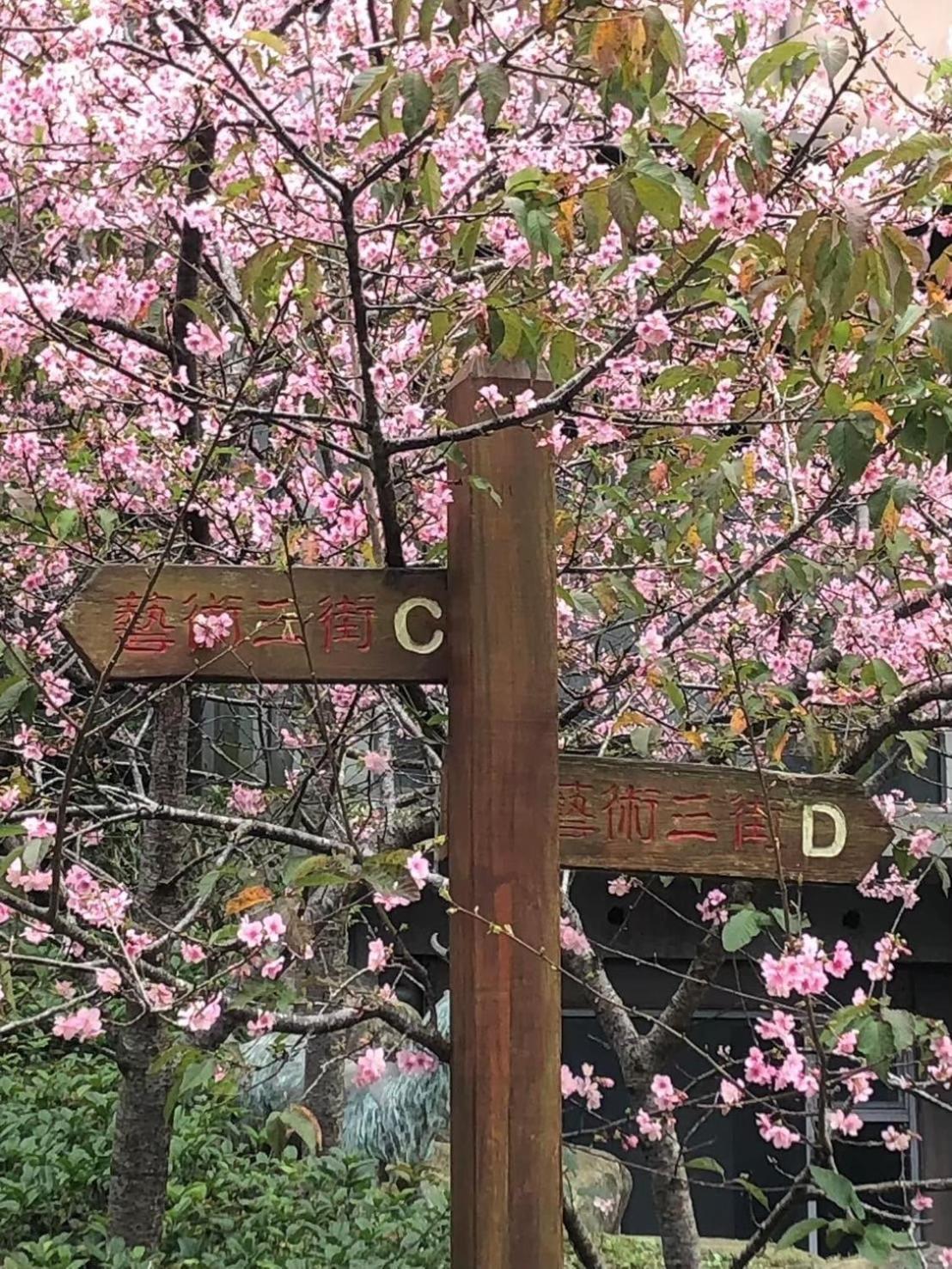 Miaoli Sanyi Travelling Homestay 외부 사진